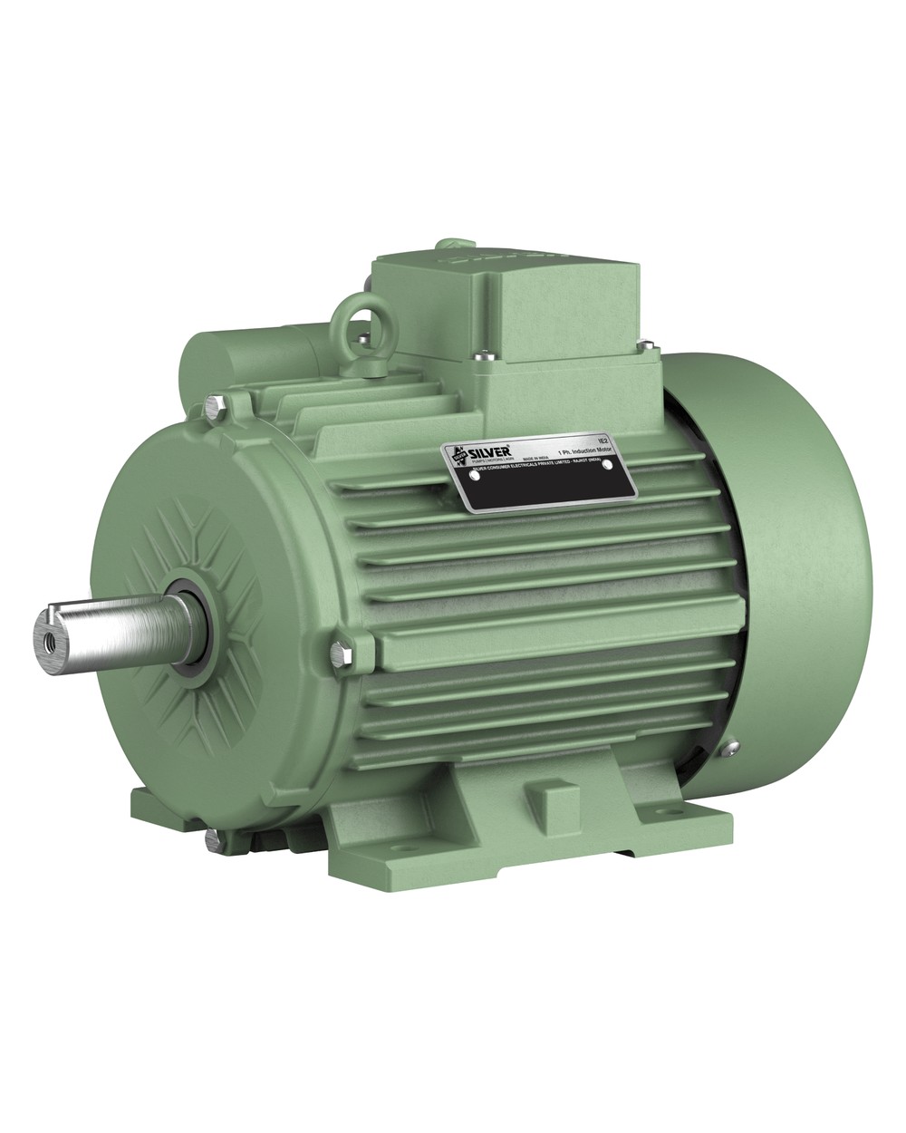 A single-phase induction motor