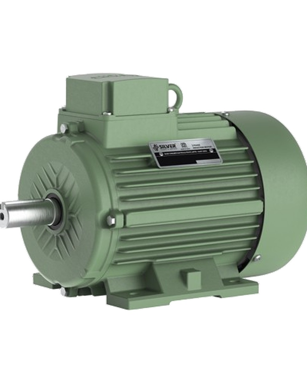 A three-phase induction motor